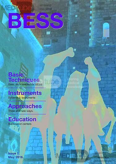 BESS Guide Book