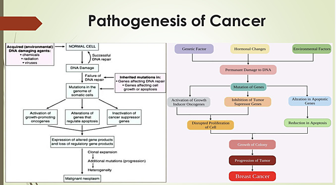 Principles of Oncology
