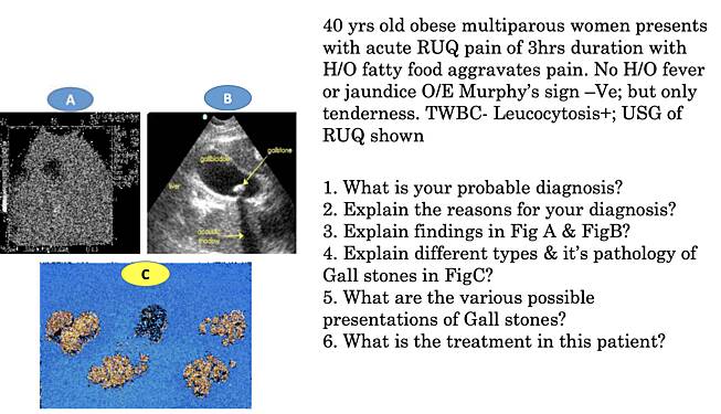 Hepato-Biliary-Pancreatic Pathologies - Image Based Questions