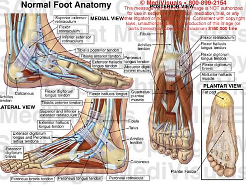 Diabetic Foot Care Symposium Aden 2022