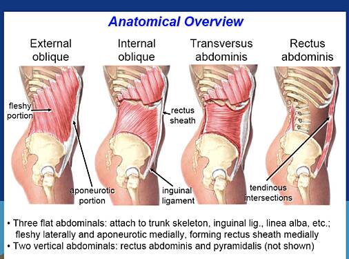 Ventral Incisional Hernia Repair