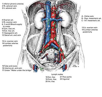 Zollinger's Atlas of Surgical Operations - 9th Ed • Document