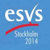 XXVIII Meeting of the ESVS