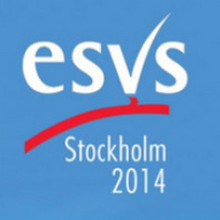 XXVIII Meeting of the ESVS
