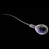 Reproductive Health Summit 2016