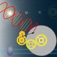 Unlocking the potential of synthetic biology to enhance human health