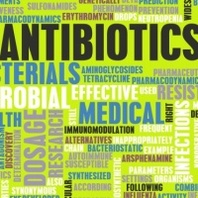 Developing Antibiotic Alternatives