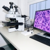 Improving techniques and technology for cellular and molecular pathology        