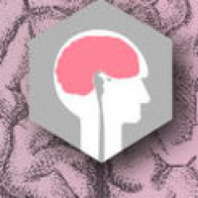 Annual Meeting of the Israel Neurosurgical Society
