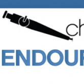 Challenges in Endourology & Functional Urology (CIE 2016)