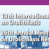 13th International Symposium on Urolithiasis 