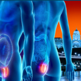 Budapest Proctology Meeting 2016
