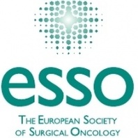 ESSO-EYSAC Surgical Anatomy Course on Pancreatic Cancer