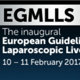 European Guidelines Meeting on Laparoscopic Liver Surgery (EGMLLS 2017)