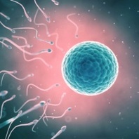 Reproductive health and fertility: research advances and clinical challenges