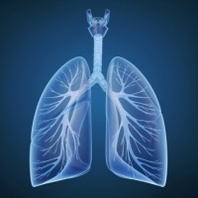 Understanding and Treating Respiratory Disease: A persistent challenge