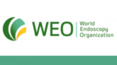 WEO Colorectal Cancer Screening Committee Meeting 2017 – Europe