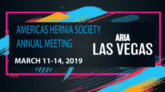 The 2019 AHS Annual Meeting