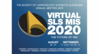 Virtual SLS MIS 2020