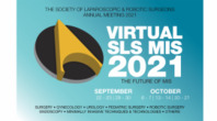 VIRTUAL SLS MIS 2021