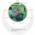 3D Medi Vision