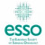 European Society of Surgical Oncology