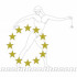 European Association of Plastic Surgeons (EURAPS)