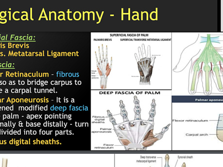 Hand & Foot Infections