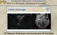 GI Takeover Endoscopic Necrosectomy is All You Need