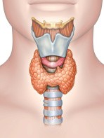 Thyroidectomy - What You Should Know