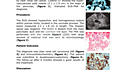 The Pancreatic Metastasis of Clear Renal Cell Carcinoma Confirmed by EUS-FNA
