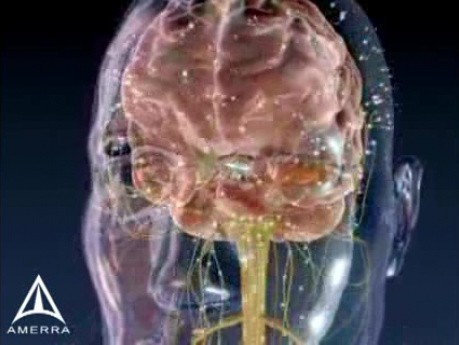 Brain signals - 3D Medical Animation