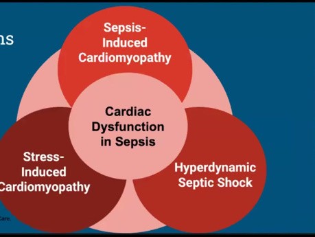 Cardiac Dysfunction in Sepsis