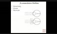 Anatomy and Physiology of Vision