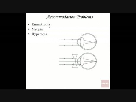 Anatomy and Physiology of Vision