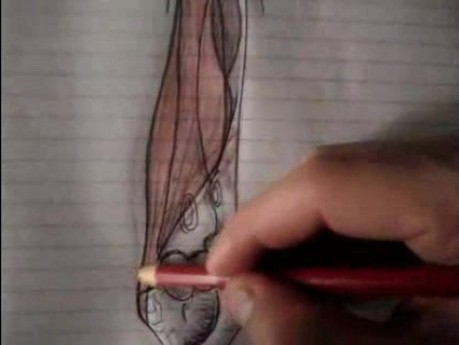 Flexors - Forearm muscles - Video Lecture