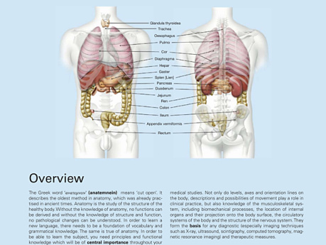 Sobotta Atlas of Anatomy, Vol.1, 16th ed., EnglishLatin General Anatomy and Musculoskeletal System by Friedrich Paulsen, Jens Waschke (z-lib.org)