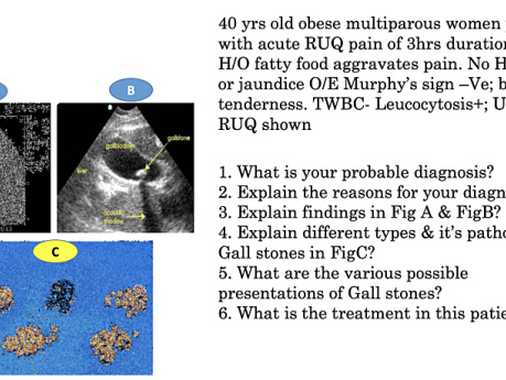 Hepato-Biliary-Pancreatic Pathologies - Image Based Questions