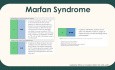 Aortopathy and Echocardiography