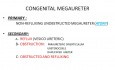 Lecture on Urological Surgery