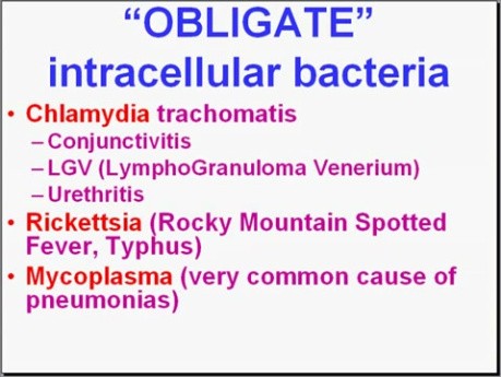 Infectious Diseases - MSP - 8o