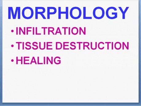 Inflammation - MSP - 2e