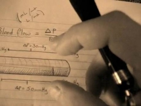 Flow rate and Flow velocity - Vascular Physiology Lectures