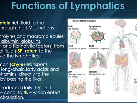 Lymphangitis & Lymphedema