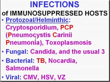 Infectious Diseases - MSP - 8i