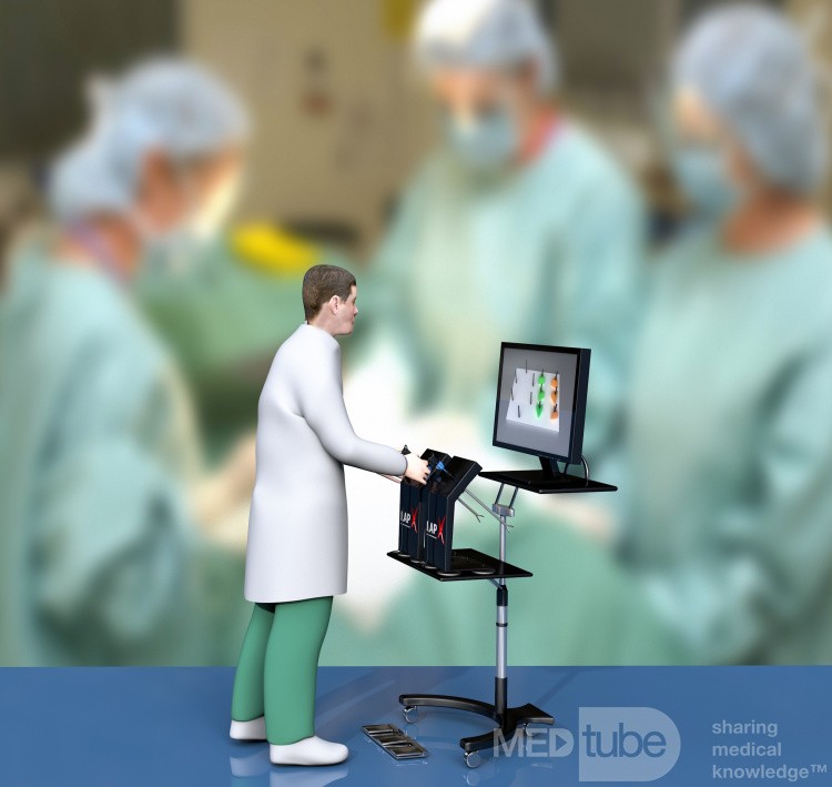 LAP-X simulator for minimal invaive surgical skill training