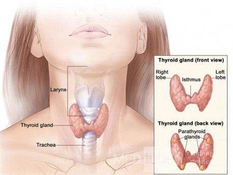Surgical Technique of Total Thyroidectomy (11 Steps to Avoid Complications)