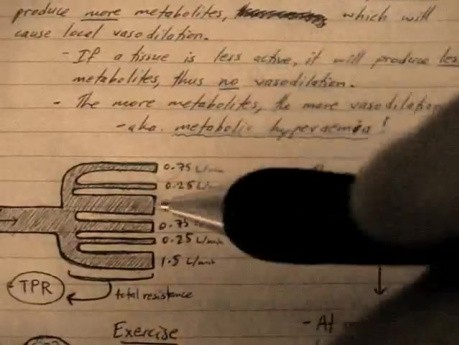 Metabolic hyperaemia - Vascular Physiology Lectures