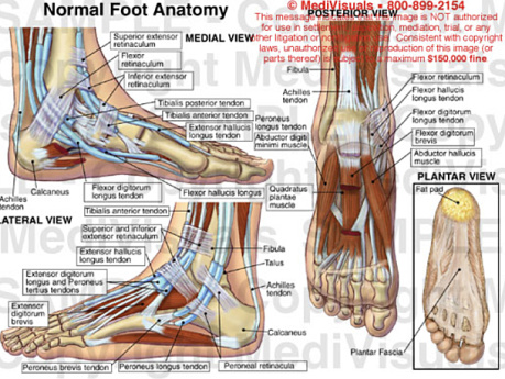 Diabetic Foot Care Symposium Aden 2022