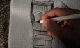 Neck - Part 1 - Muscular System Video Lectures